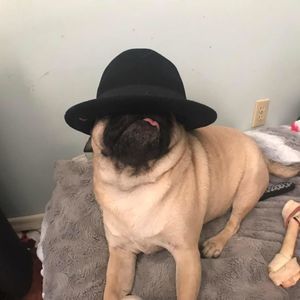 Meet your Posher, Amber